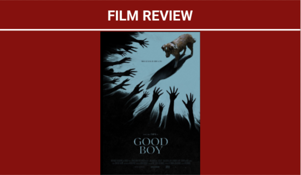 Good Boy